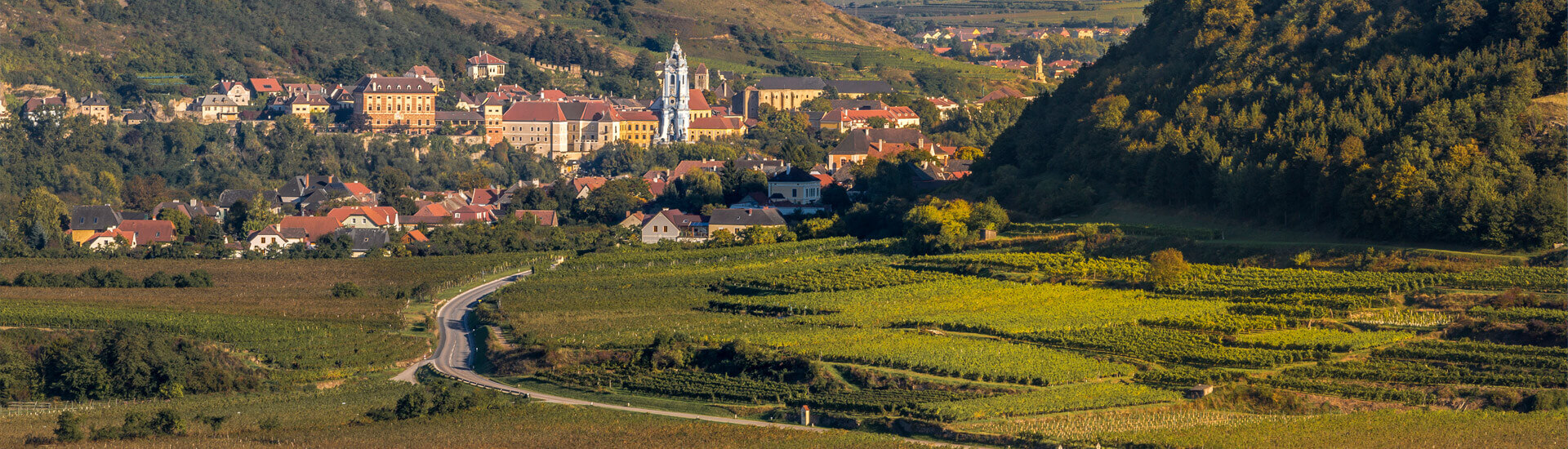 Ausblick auf Dürnstein mit Weingärten - Weingärtnerei Frischengruber