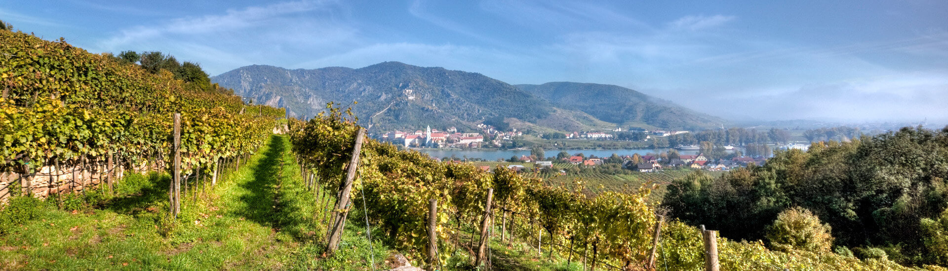 Ausblick auf die Donau von der Lage Mugler  - Weingärtnerei Frischengruber